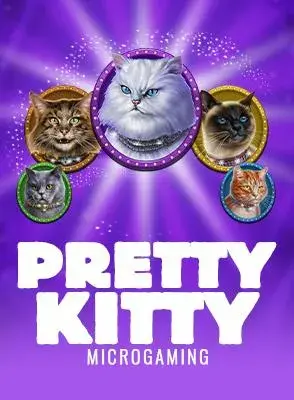pretty-kitty.webp